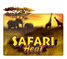 Safari Heat - DELUXEPLAY88