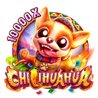 CHILIHUAHUA - DELUXEPLAY88