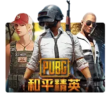 Pubg - DELUXEPLAY88