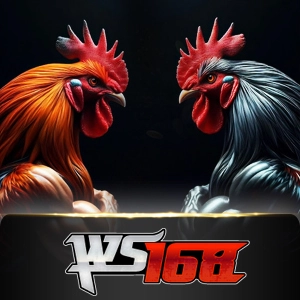 Ws168 Sabung - DELUXEPLAY88
