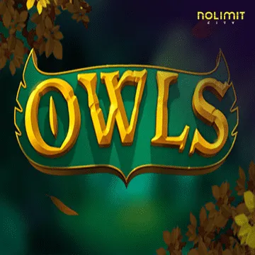Owls - DELUXEPLAY88