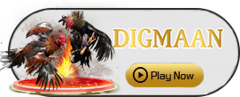 Digman - DELUXEPLAY88