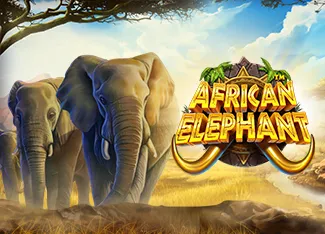 African Elephant - DELUXEPLAY88
